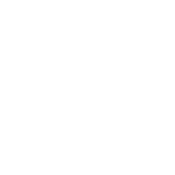 BORO